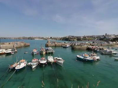 a bunch of boats are docked in a harbor at Flat 4 in Newquay