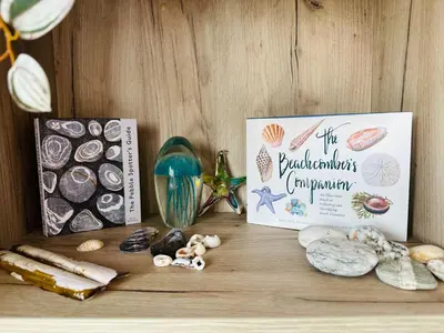 a shelf with a book and some shells on it at C-Scape Lodge in Newquay