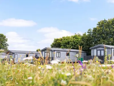 a row of mobile homes in a field of grass at Penmarlam Lodge Retreat 18 in Fowey