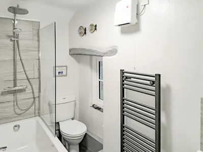 a white bathroom with a toilet and a shower at Appleloft in Saint Gennys