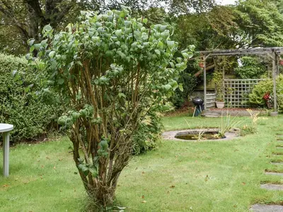 a small tree in a yard with a grill at Anneth Lowen in Perranwell