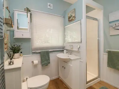 a bathroom with a toilet and a sink and a shower at Raven Cottage in Torpoint