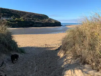 a black dog walking on a sandy beach at Mawgan Pads Lazy Days Lodge in Mawgan Porth