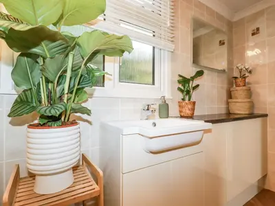 a bathroom with a sink and plants in it at Badgers Sett in Tintagel