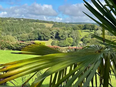 a view of a lush green field and trees at The View in Bodmin