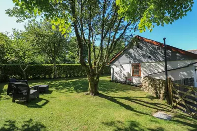a yard with a tree and a building at Tregonning Lodge in Helston