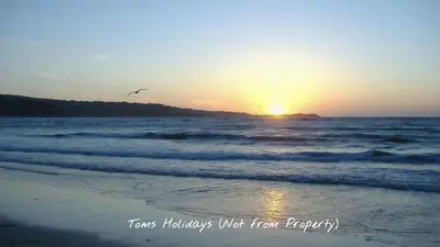 a bird flying over the ocean at sunset at B27 The Lair, Riviere Towans in Hayle