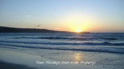 a bird flying over the ocean at sunset at A06 Rushdune A6, Riviere Towans in Hayle
