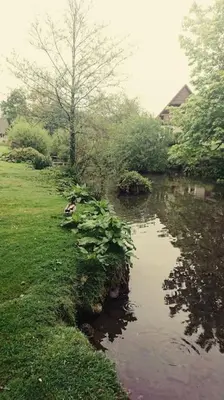 a stream of water next to a field of grass at Bungalow 62,North Cornwall, St. Tudy in Saint Tudy