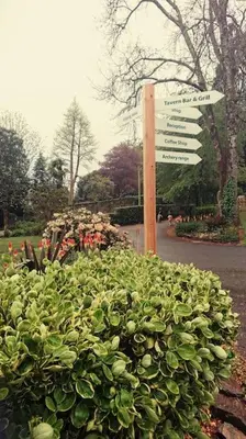 a street sign in front of a green bush at Bungalow 62,North Cornwall, St. Tudy in Saint Tudy