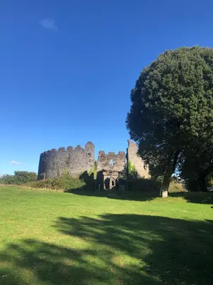 a tree in a field with a castle in the background at Bracken's Retreat in Lostwithiel