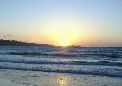 a bird flying over the ocean at sunset at B51 Blue Bay, Riviere Towans in Hayle