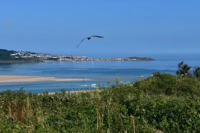 a bird flying over a beach next to the water at C20 Y Worry, Riviere Towans in Hayle