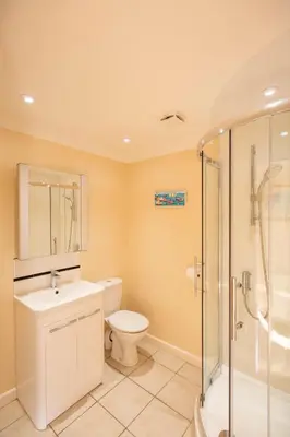 a bathroom with a toilet sink and a shower at Sandy Bay Apartment, St Ives Bay, Hayle in Hayle
