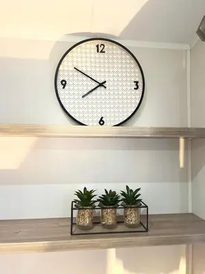 a clock on a wall with two plants on a shelf at Our Lodge at Newquay Bay NB35 in Newquay