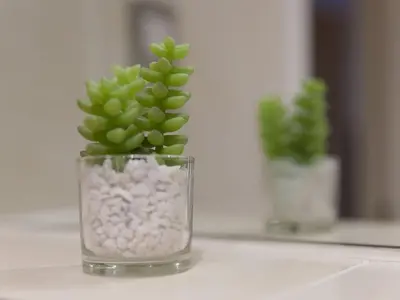 a glass vase with a green plant in it at Atlantis in St Ives