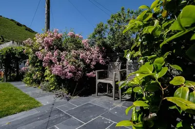 a garden with two chairs and pink flowers at Trevan House, Port Isaac Bay Holidays in Port Isaac
