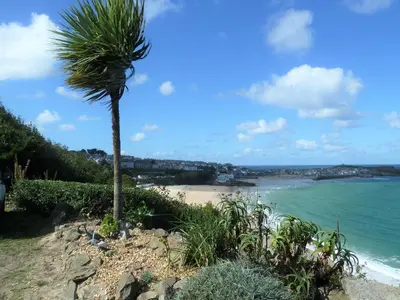 a palm tree on a hill next to a beach at Grey Mullet Guest House in St Ives