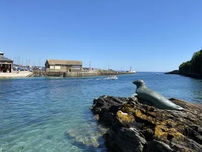 a sea lion laying on a rock in the water at Linhay at East Trenean Farm -Luxury retreat for 2 with stunning rural views, private hot tub and EV charging in Looe