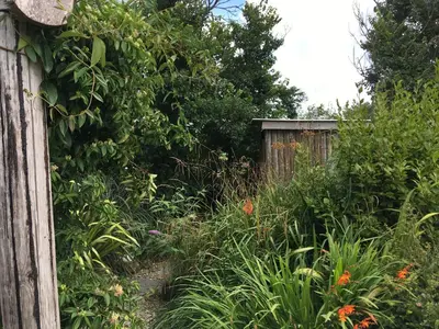 a garden with a wooden fence and some plants at Field Hut in Wadebridge