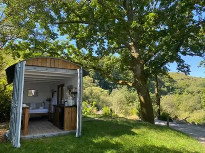 a small shed in the grass under a tree at Trethowels Grey Hidden hut in St Austell