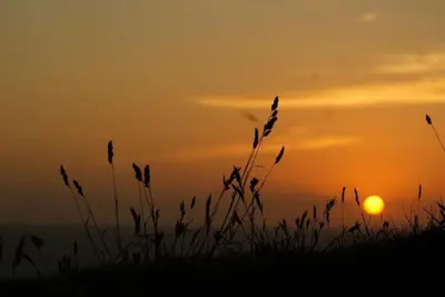 a silhouette of a field with the sunset in the background at Cosy Rustic Annex in quiet Cornwall Village in Saint Wenn