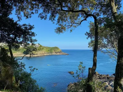 a view of a body of water with trees at East Trenean Farm Cottages -4 Luxury Cornish Cottages sleeping 20 with hot tubs, private gardens, rural views and EV facilities in Looe