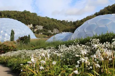two domes in a garden with white flowers at Trewhiddle Retreat V4 by Together Travel - Luxury 4-Bedroom Villa in St Austell
