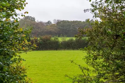 a field of green grass with trees in the background at Trewhiddle Retreat V17 by Together Travel - Luxury 4-Bedroom Villa in St Austell