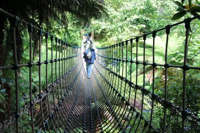 a person walking across a suspension bridge in a forest at Trewhiddle Retreat V5 by Together Travel - Luxury 4-Bedroom Villa in St Austell