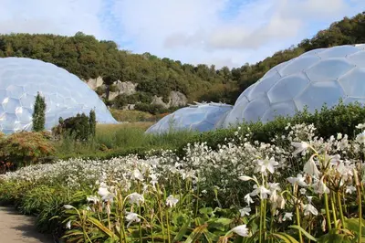 two domes in a garden with white flowers at Trewhiddle 41 by Together Travel - Stylish Coastal Countryside Retreat in St Austell
