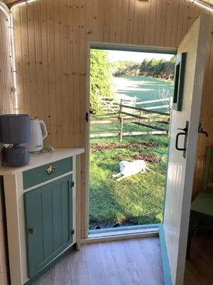 a door leading to a yard with a cow outside at Silverspring Glamping The Shepherds Hut in Constantine