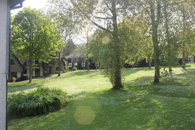 a green yard with trees and grass and houses at 36 Strawberry Hill, Tolroy Manor in Hayle