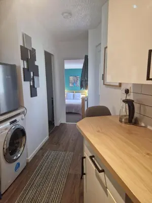 a kitchen with a washer and dryer in a room at Cosy Self Contained Annexe in Bodmin