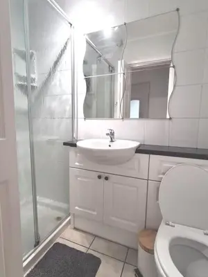 a bathroom with a toilet and a sink and a shower at Cosy Self Contained Annexe in Bodmin