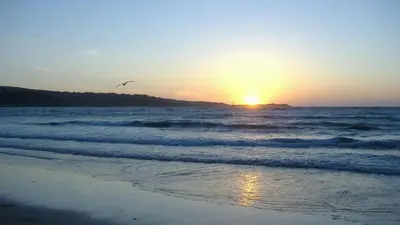 a bird flying over the ocean at sunset at 15 Tudor Court, Tolroy Manor in Hayle