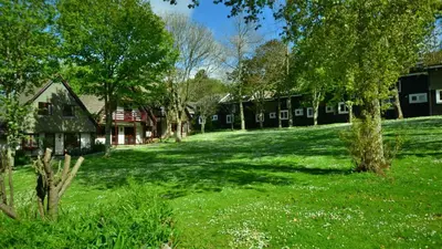 a green yard with houses and trees and grass at 28 Tudor Court, Tolroy Manor in Hayle