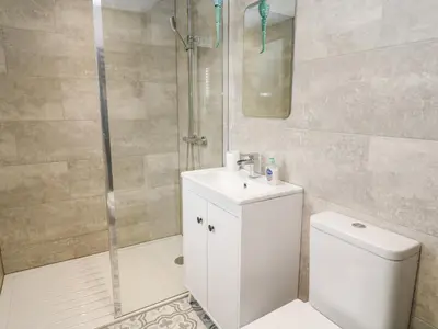 a bathroom with a shower and a toilet and a sink at Cinders Loft in Redruth