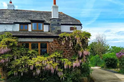 a house with purple flowers on the side of it at Hallagather Self Catering in Bude