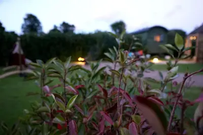 a bush with pink flowers in a yard at Romantic Retreat - Luxury Shepherds Hut + Hot Tub! in Camborne