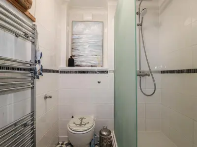 a bathroom with a toilet and a shower at Melvill Lower Deck in Falmouth
