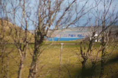 a field with trees and a lake in the distance at Sand Dunes 6 The Manor in St Ives