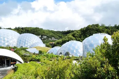 a group of domes in a field of trees at White Eden - explore Cornwall from a comfy central appartment in St Austell