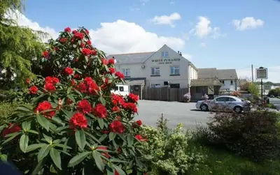 a bush with red flowers in front of a building at White Eden - explore Cornwall from a comfy central appartment in St Austell