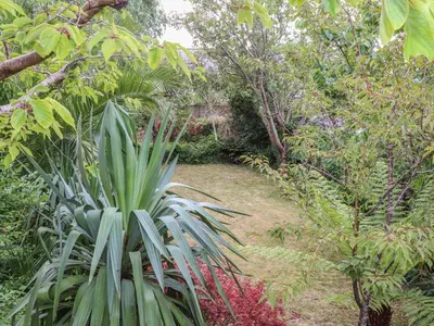 a garden with a lot of plants and trees at Sea View in St Austell