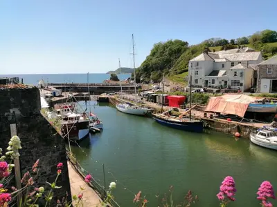 a group of boats are docked in a harbor at Hillcroft in St Austell