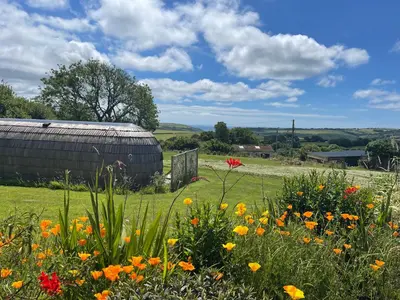 a field of flowers in front of a barn at The Pilchard - Lydcott Glamping Cornwall, sea view in East Looe
