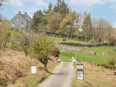 a road with sheep walking down a hill with a house at Henwood Barn in Liskeard