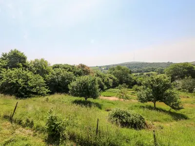a field of grass with trees in the background at Mole Cottage in Liskeard