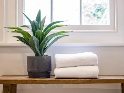 a plant sitting on a wooden shelf next to towels at Mermaid Cottage in Port Isaac